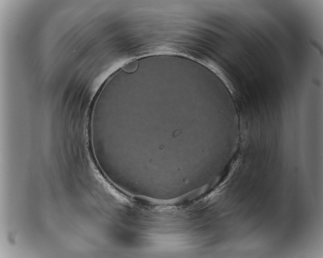 X0000100361142200806061132