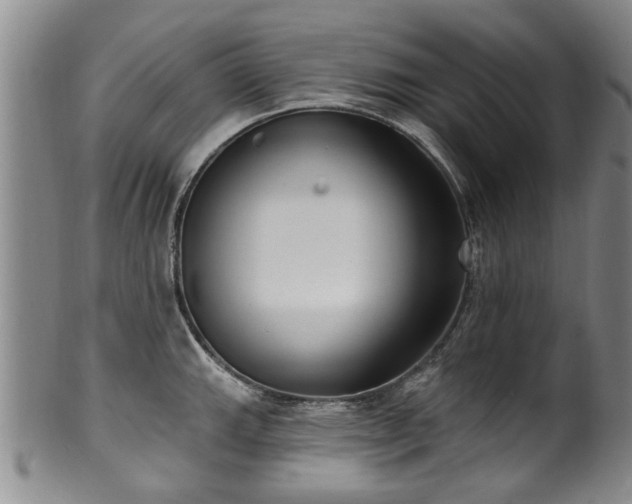 X0000100361143200806061132