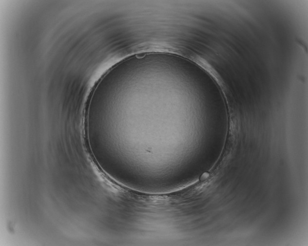 X0000100361144200806061132