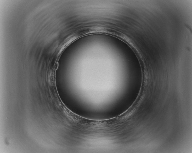 X0000100361145200806061132