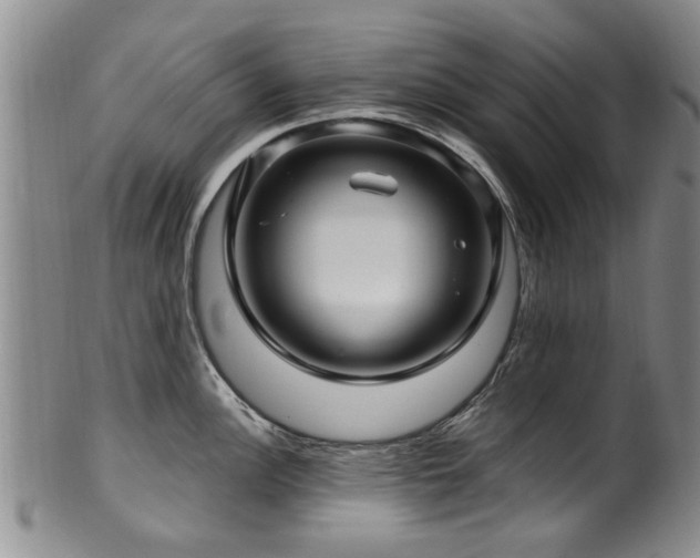 X0000100361148200806061132