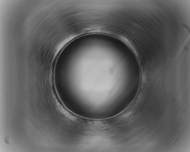 X0000100361149200806061132