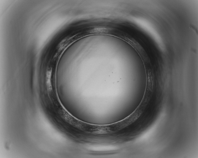 X0000100361150200806061132