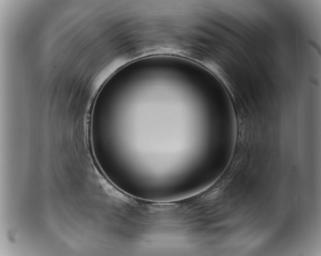 X0000100361151200806061132