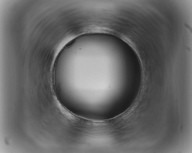 X0000100361152200806061132