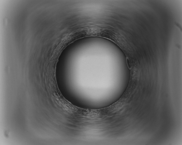 X0000100361153200806061131
