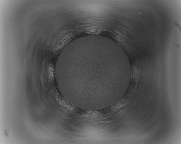 X0000100361154200806061131