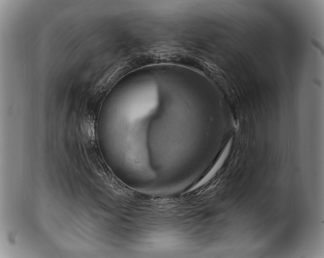 X0000100361155200806061131