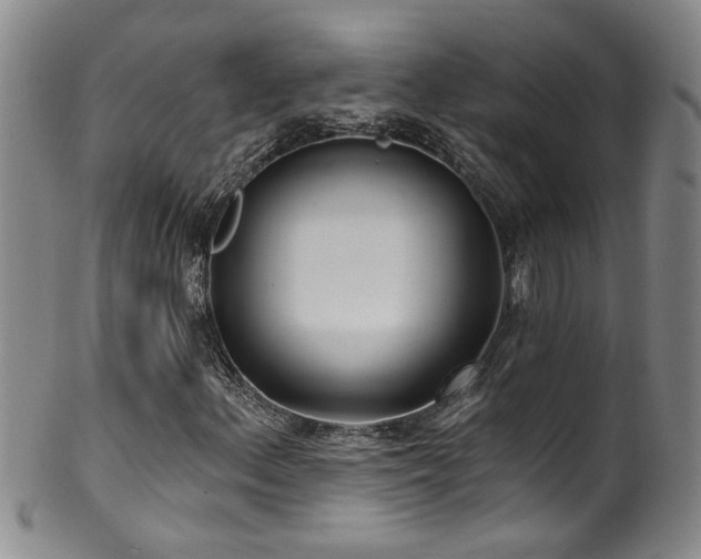 X0000100361156200806061131