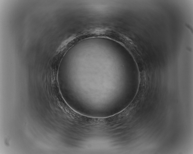 X0000100361158200806061131