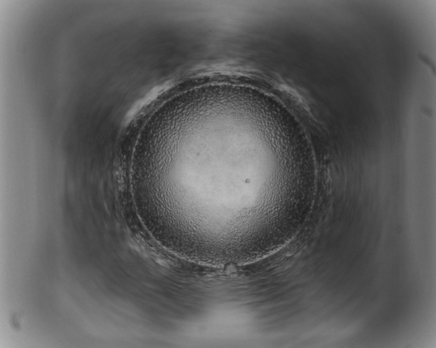 X0000100361159200806061131