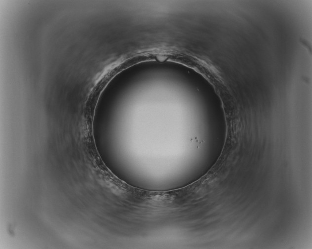 X0000100361160200806061131