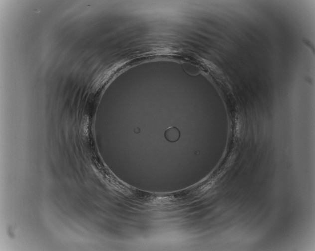 X0000100361161200806061131