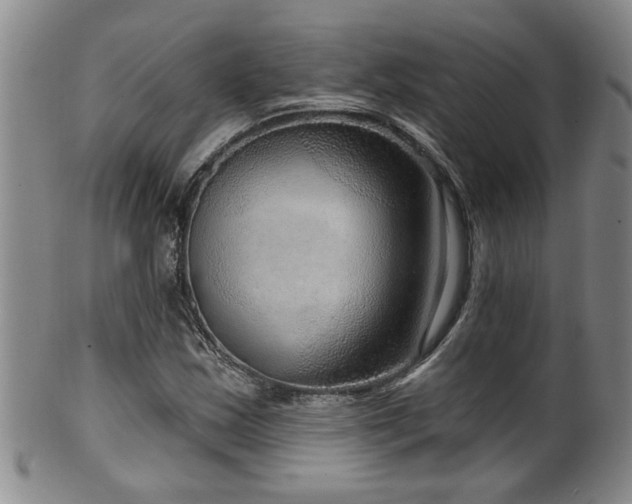 X0000100361163200806061131