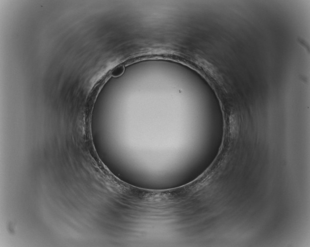 X0000100361165200806061131