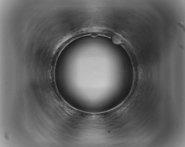 X0000100361166200806061131
