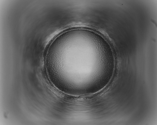 X0000100361167200806061131