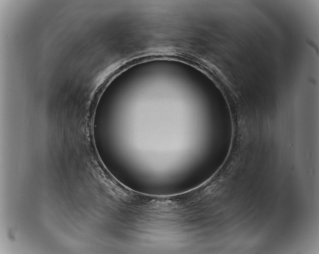 X0000100361168200806061131