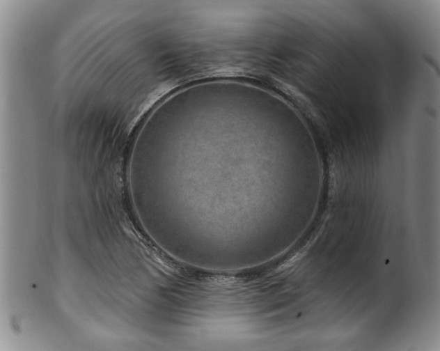 X0000100361170200806061131