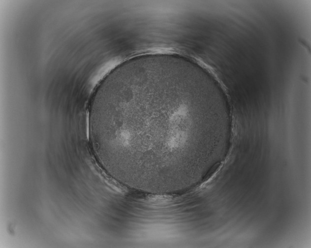 X0000100361171200806061131