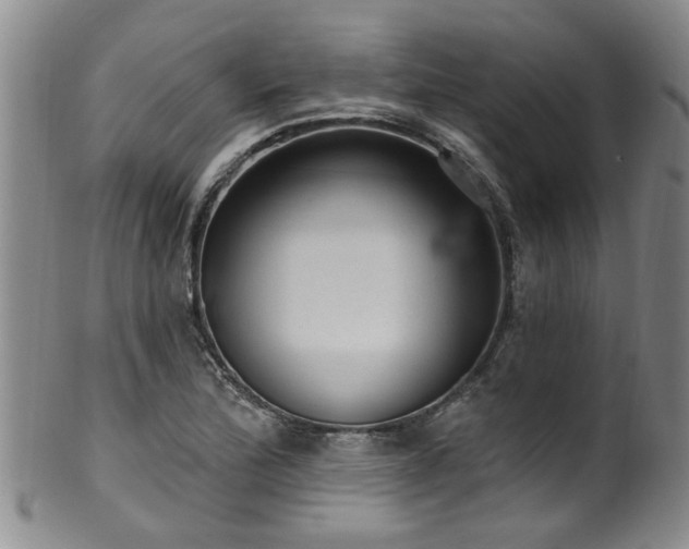 X0000100361172200806061131