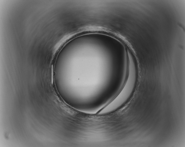 X0000100361175200806061131