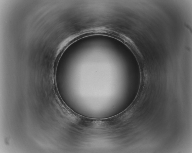 X0000100361176200806061131