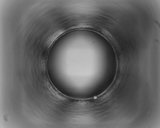 X0000100361177200806061131
