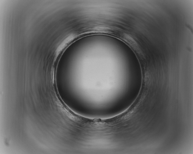 X0000100361180200806061131