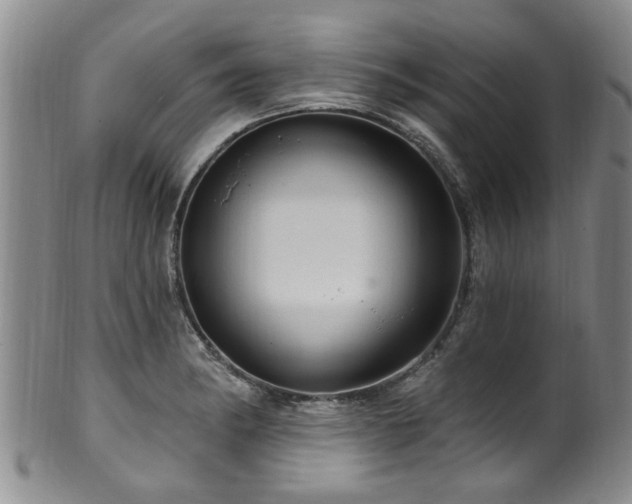 X0000100361182200806061131