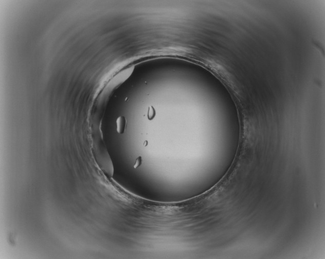 X0000100361184200806061131