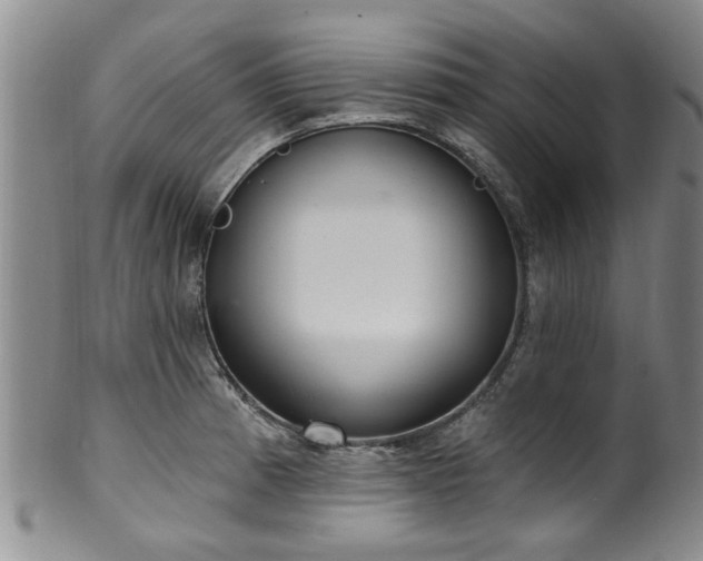 X0000100361185200806061131