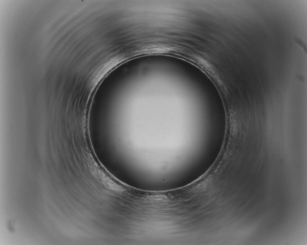 X0000100361186200806061131