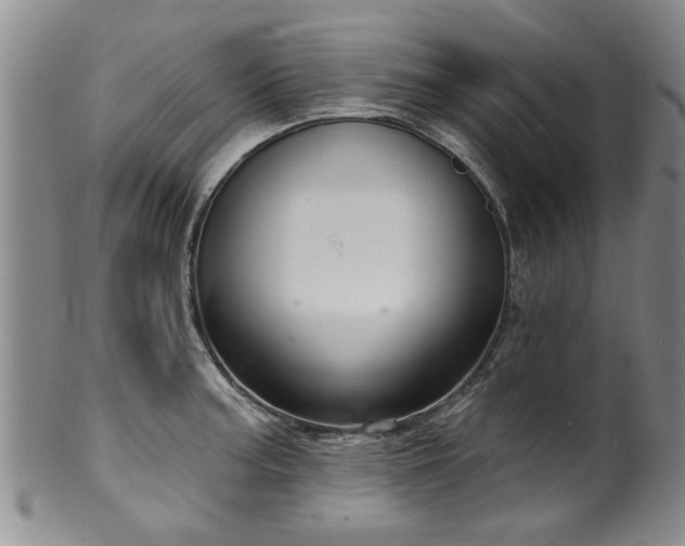 X0000100361187200806061131