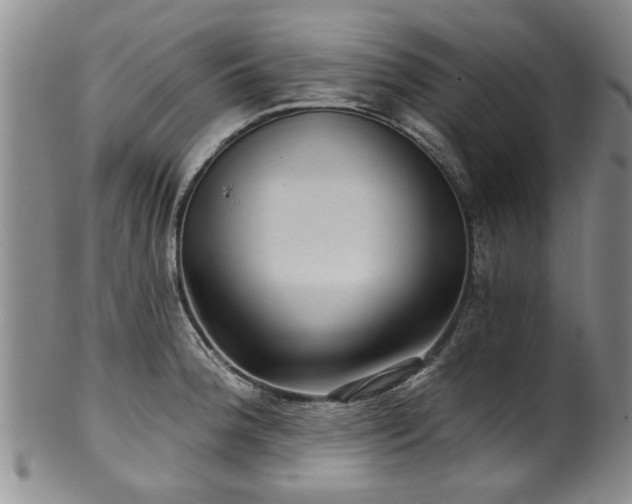X0000100361188200806061131