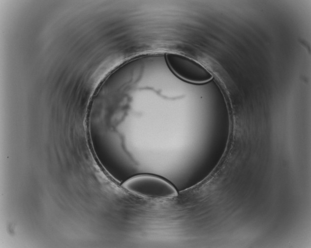 X0000100361189200806061131
