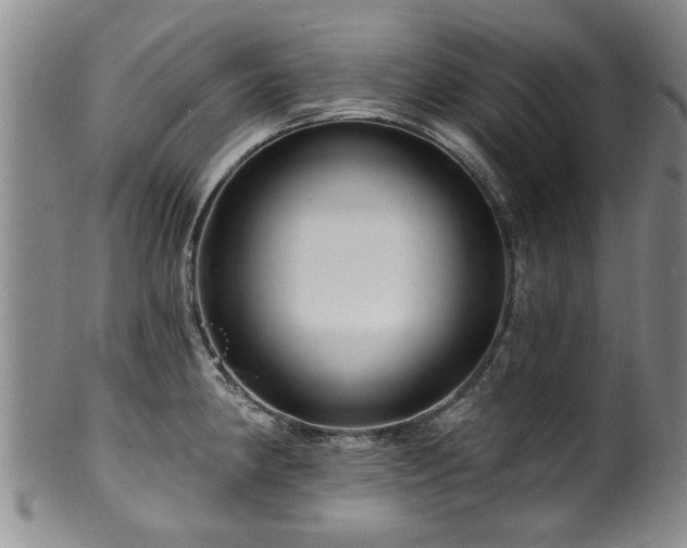 X0000100361190200806061131