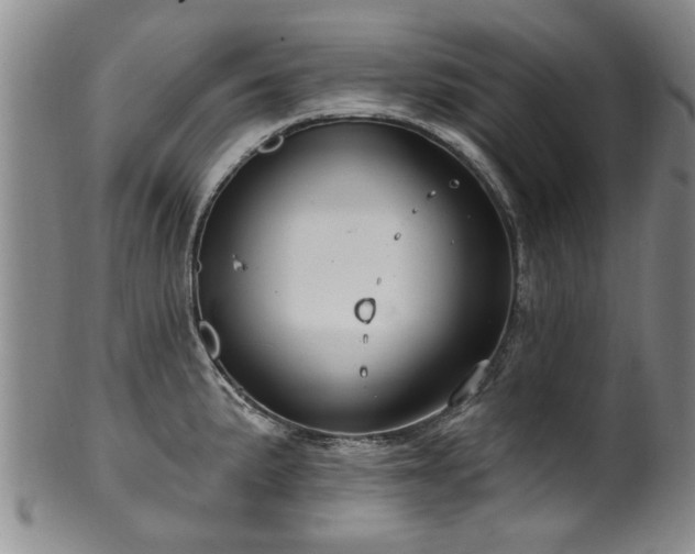 X0000100361191200806061131