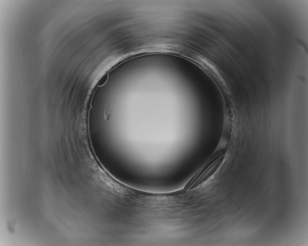 X0000100361192200806061131