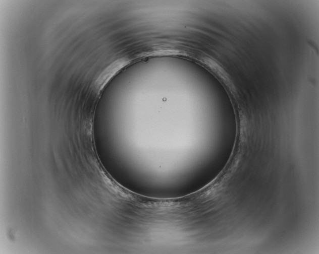 X0000100361193200806061131