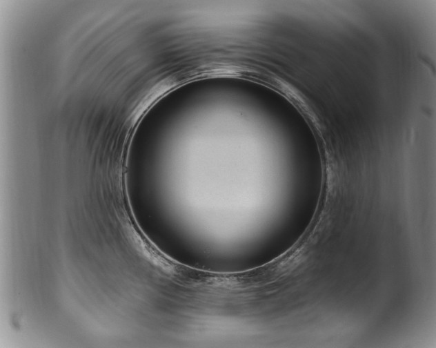 X0000100361194200806061131