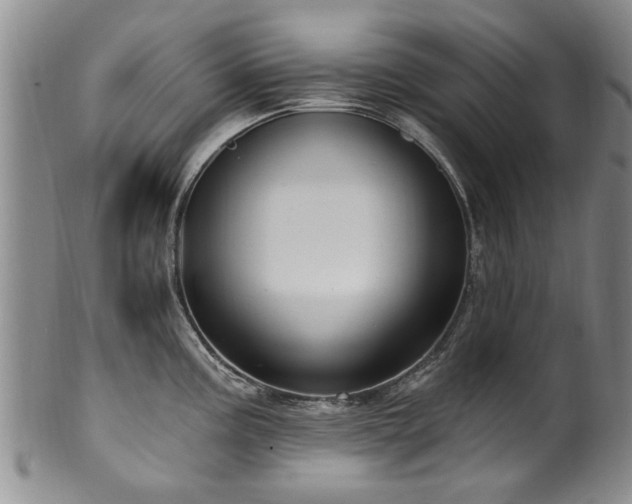 X0000100361195200806061131
