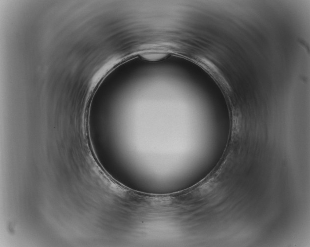 X0000100361196200806061131