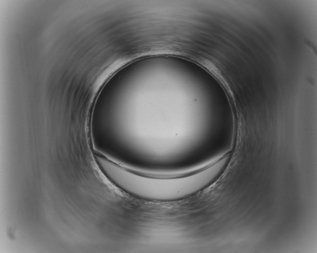 X0000100361197200806061131