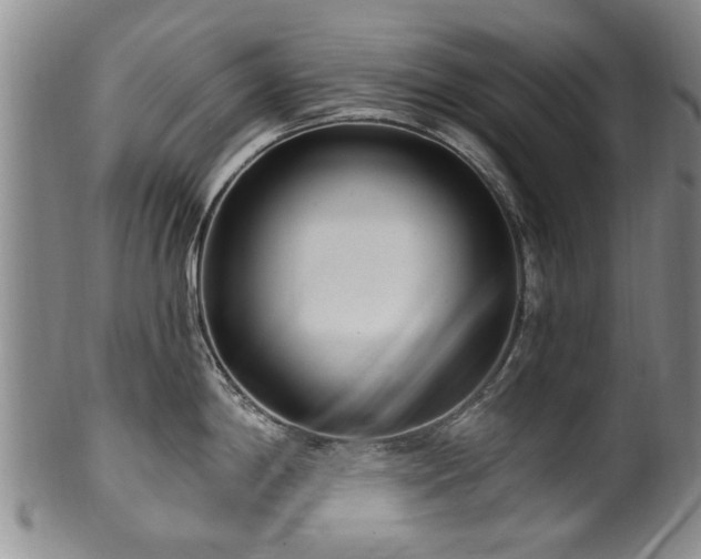 X0000100361198200806061131