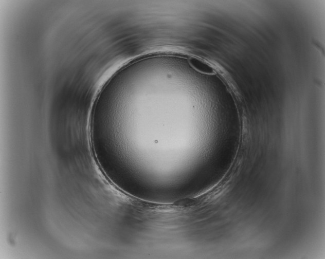X0000100361199200806061131