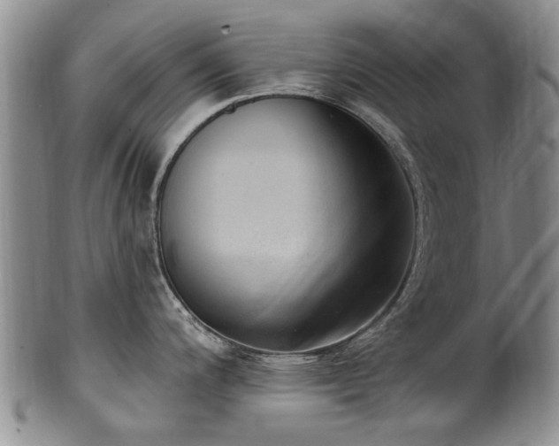 X0000100361200200806061131