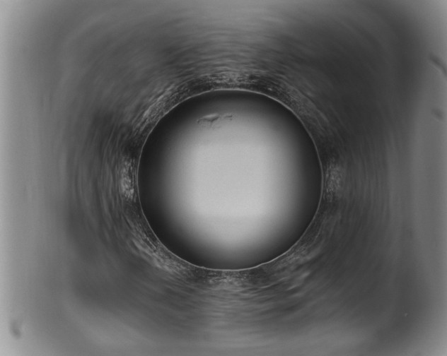 X0000100361202200806061130