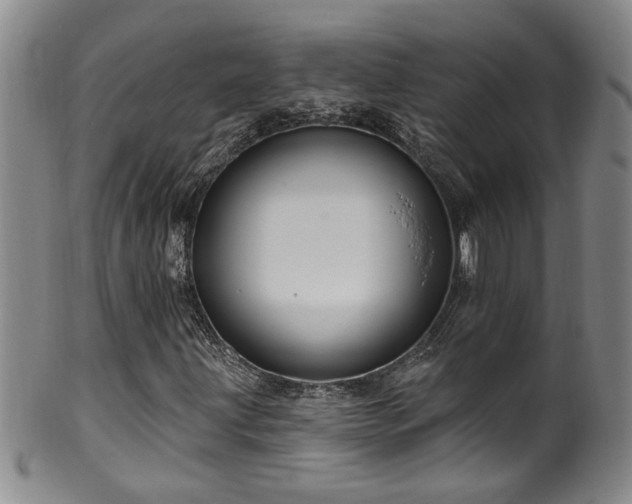 X0000100361203200806061130