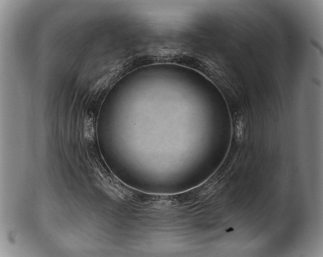 X0000100361204200806061130